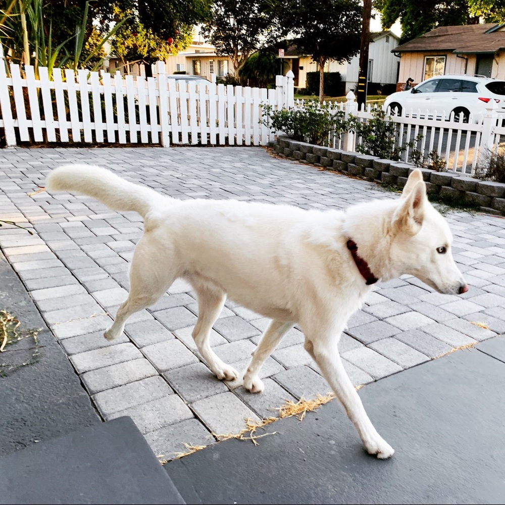 Meet your Posher, Lynn